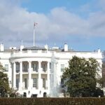 visit Us capitol+ DC Morning Bus Tour with cherry blossom - What Real Travelers Say