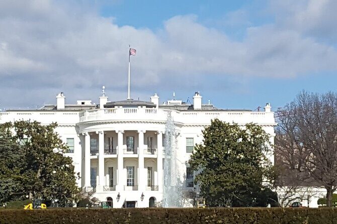 visit Us capitol+ DC Morning Bus Tour with cherry blossom - What Real Travelers Say