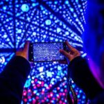 Vivid Sydney Walking Tour Lights, Stories and Secret Spots - The Sum Up