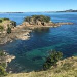 Waiheke Island Double Headland Coastal Walk - The Value of This Experience