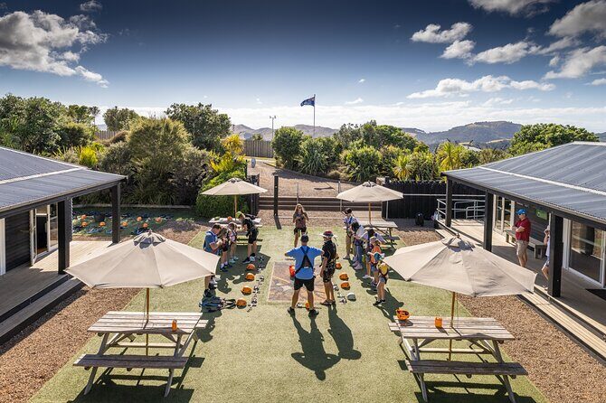 Waiheke Island: Zipline And Forest Walk - Why Travelers Keep Coming Back