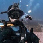 Waikiki 2 Tank World Class Wreck SCUBA Diving - Certified Only - FAQ