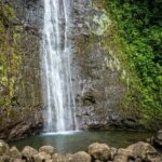 Waikiki Electric Bike Self Guided Tour- Manoa Falls Bike and Hike - What to Expect on the Trail