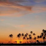 Waikiki: Friday Night Fireworks Catamaran Sail - Practical Tips for Your Cruise