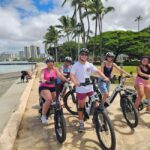 Waikiki: Guided E-Bike Tour with Local History & Ocean Views - The Practical Side: Whats Included and How It Fits