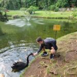 Waikiki: Oahu In a Day Circle Island Tour - What’s the Value Like?