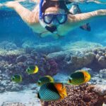 Waikiki Sail and Snorkel Adventure Best of Hawaii 2023 - Analyzing the Value