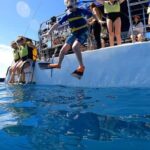 Waikiki: Sail and Turtle Snorkel Experience - The Snorkeling Experience