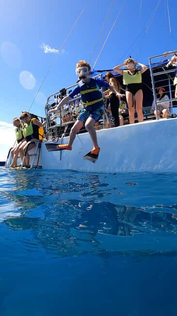 Waikiki: Sail and Turtle Snorkel Experience - The Snorkeling Experience
