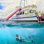 Waikiki Snorkeling & Ocean Waterpark Adventure from Oahu - The Experience: What to Expect