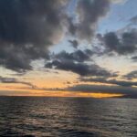 Waikiki to Diamondhead: Sunset BYOB Cruise - Why This Tour Works Well