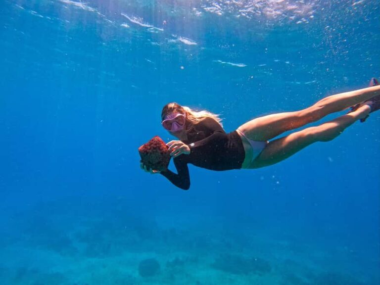 Waikiki: Turtle Canyon Snorkel Tour with Small Group - The Good and the Not-So-Good