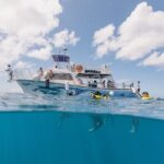 Waikiki Turtle Canyon Snorkeling with Hula Show - FAQs