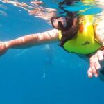 Waikiki Turtle Snorkeling Tour - Key Points