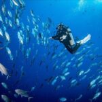Waikikis Best Wreck And Reef Dive - Personalized Attention and Small Group Size