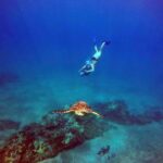 Wailea Beach: Guided Sea Scooter Snorkeling Tour - The Bottom Line: Who Will Love This Tour?