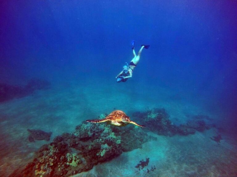 Wailea Beach: Guided Sea Scooter Snorkeling Tour - The Bottom Line: Who Will Love This Tour?