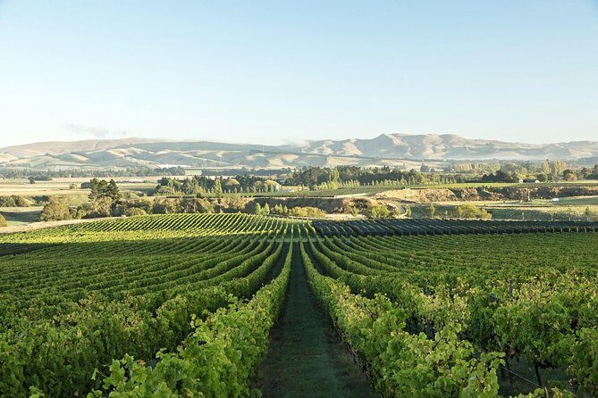 Waipara Wine Experience for 2 or more, inc tastings and lunch - Why Choose the Waipara Wine Experience?