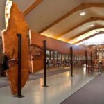 Waipoua KAURI Forest, Tane Mahuta & Museum Tour Ex Auckland - Transport, Timing, and Overall Value