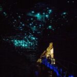 Waitomo Glow Worm Caves - The Glowworm Cave Tour