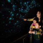 Waitomo Glowworm Caves and Kiwi House Small Group from Auckland - Practical Details and What to Expect