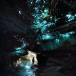 Waitomos Hidden Gem: Small-Group Off the Beaten Track Tour - The Authentic Experience and Personal Touch