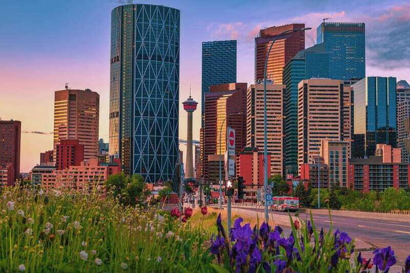 Walk the Best of Calgary  Private Tour - Why This Tour Works Well