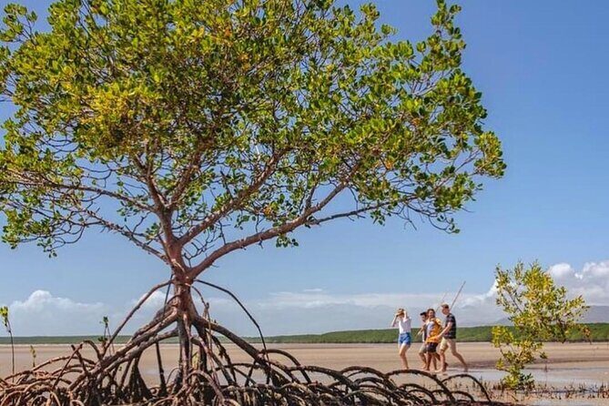 Walkabout Cultural Adventures - Ngana Julaymba Dungay Full Day - FAQ