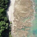 Walkabout Cultural Adventures - Ngana Kulkinga Dungay Full Day - What Travelers Are Saying