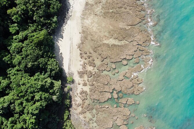 Walkabout Cultural Adventures - Ngana Kulkinga Dungay Full Day - What Travelers Are Saying