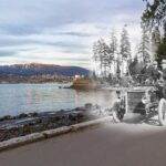 Walking Tour Along Stanley Park's Seawall - Who Should Consider This Tour?