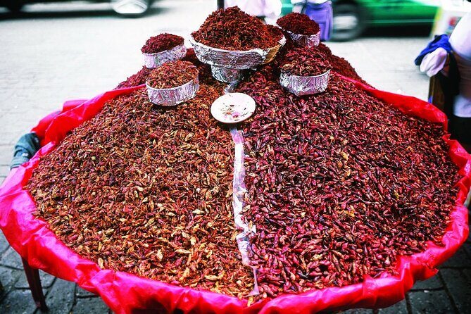 Walking tour and Museums Oaxaca - Who Should Consider This Tour?