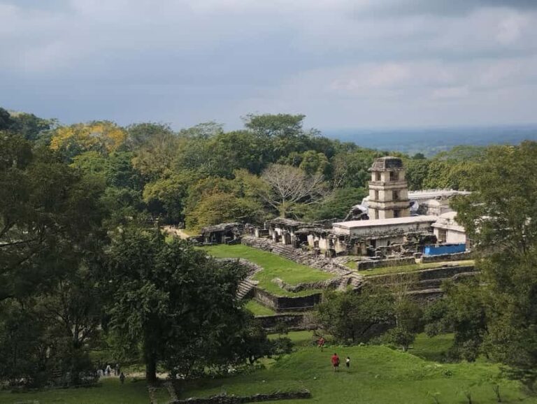 Walking tour in the archaeological site and jungle of Palenque - The Itinerary in Detail