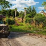 Walt Disney World Admission with Water Park and Sports Option - Who Will Love This Ticket?