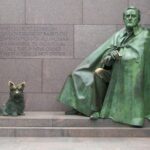 Washington DC 3 Hour Day Tour - Transportation and Convenience