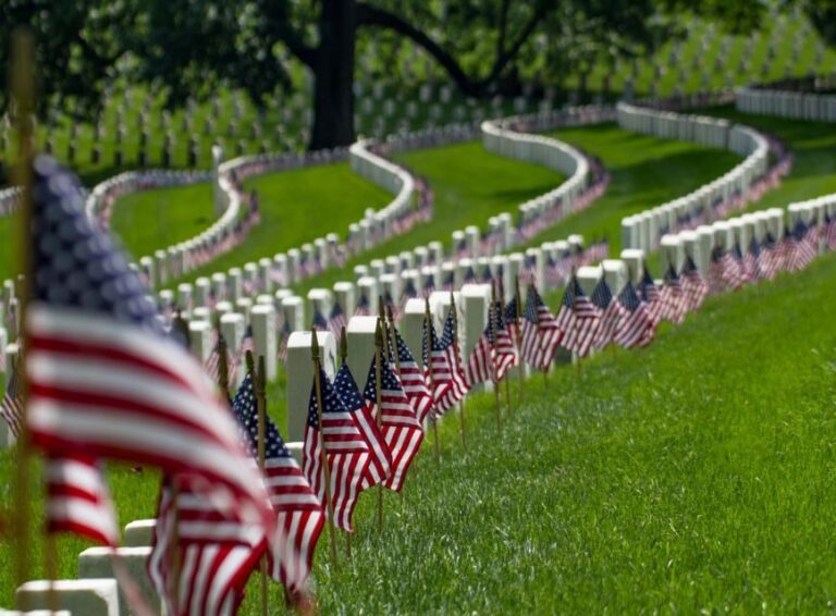 Washington, DC: Arlington Cemetery & Memorials Tour - Who Would Love This Tour?