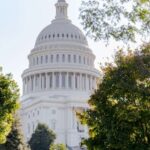 Washington DC: Bus Tour with US Capitol and Archives Access - How the Tour Runs