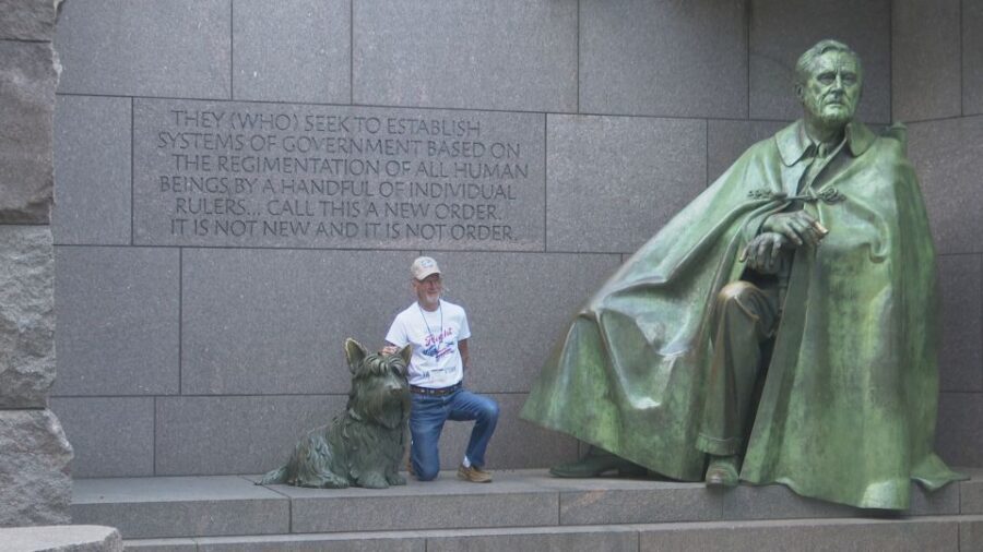 Washington DC: Cherry Blossom Walking Tour - What to Expect from the Tour