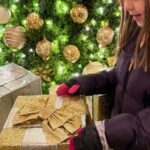 Washington, DC: Christmas Tree & Holiday Lights Bus Tour - Final Thoughts