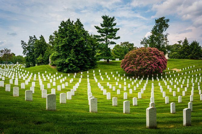 Washington DC Day Tour from New York City - The Pros and Cons Based on Real Experience