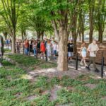 Washington DC Day Trip by Bus from New York City - The Pros and Cons