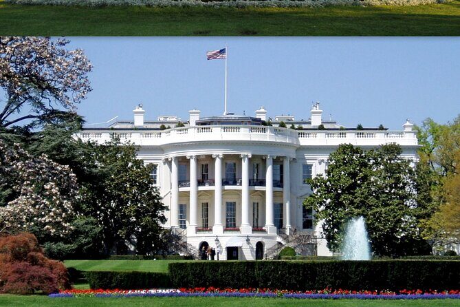 Washington DC Diplomatic and Monuments Guided Tour - The Practicalities: What You Need to Know