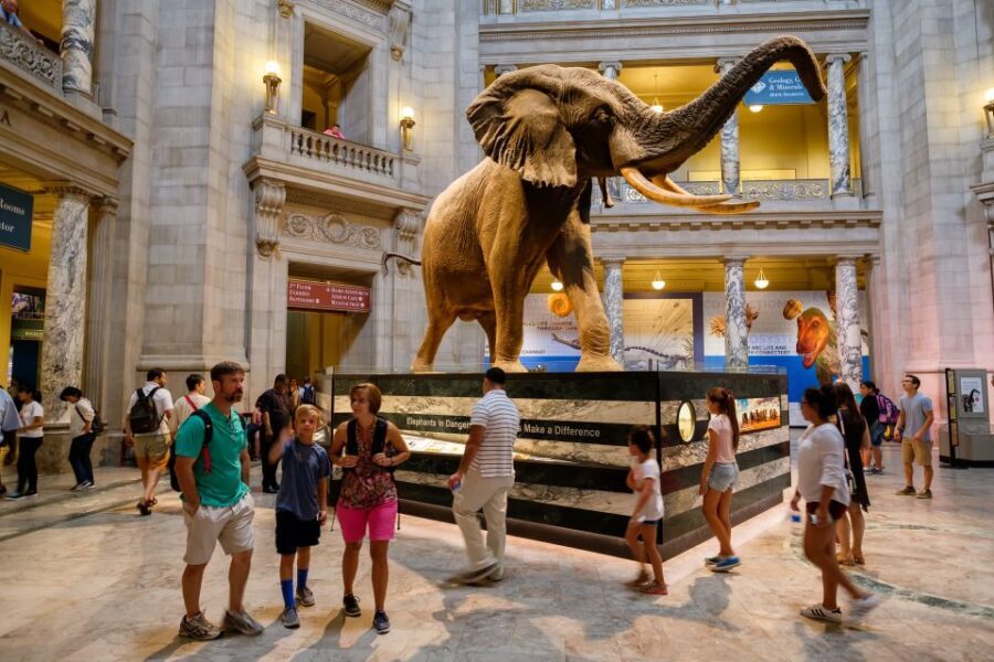 Washington DC: Museum of Natural History Private Guided Tour - Who Should Consider This Tour?