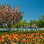 Washington, DC: Old Town Hop-On Hop-Off Trolley City Tour - What’s Included and What’s Not?