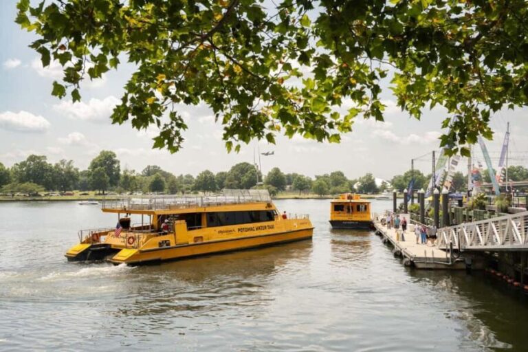 Washington DC: Potomac Cruise and Georgetown Walking Tour - Value and Price