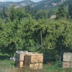 WASHINGTON ST AGRICULTURE, Apples & Irrigation - Is this Tour Worth the Price?