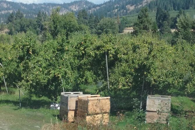 WASHINGTON ST AGRICULTURE, Apples & Irrigation - Is this Tour Worth the Price?