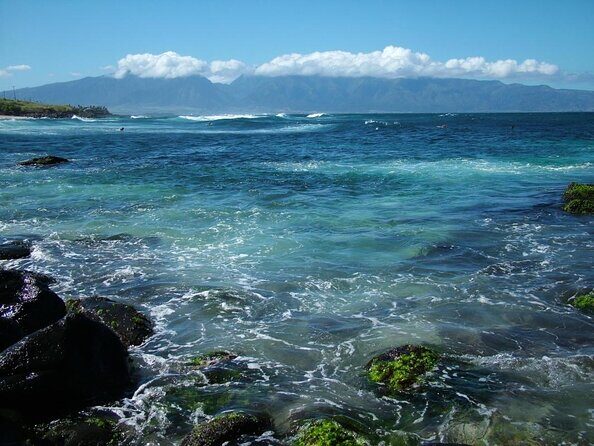 Waterfall and Rainforest Adventure - FAQs