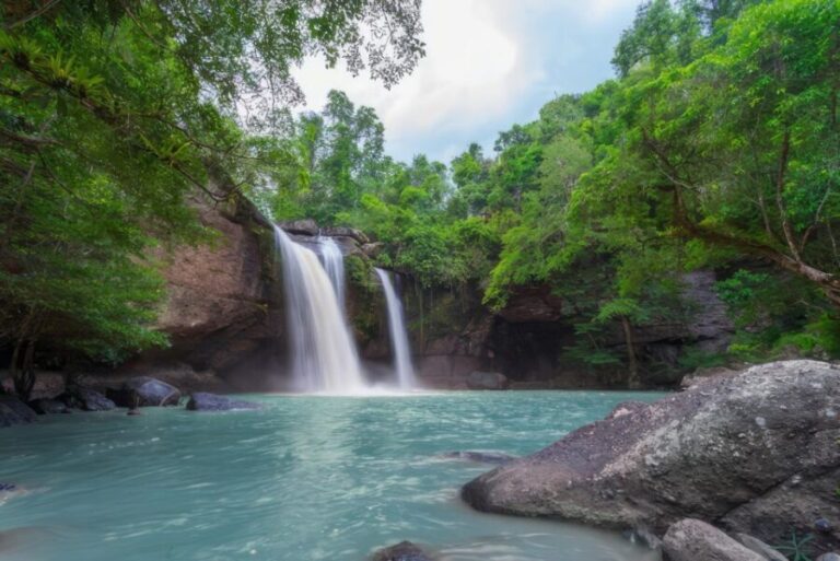 Waterfall, Chocolate Tour, Rainforest, Royal Historical - What You Should Know Before Booking