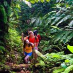 Waterfall, Rainforest, Chocolate Tour & Historical Sites - Who Should Consider This Tour?